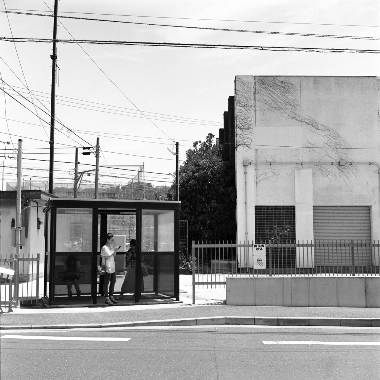 rolleiflex2.8f010fp4