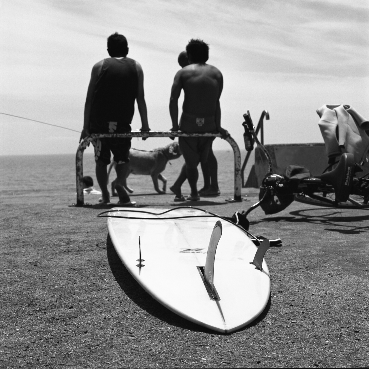 rolleiflex2.8f011fp4