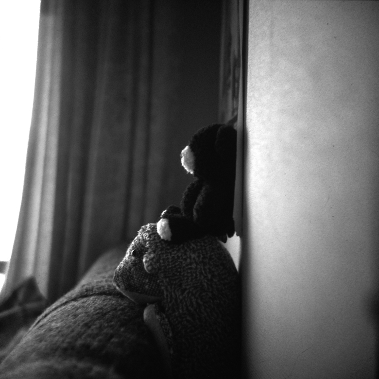 Maxwell screen. HI-LUX BRILLIANT MATTE.