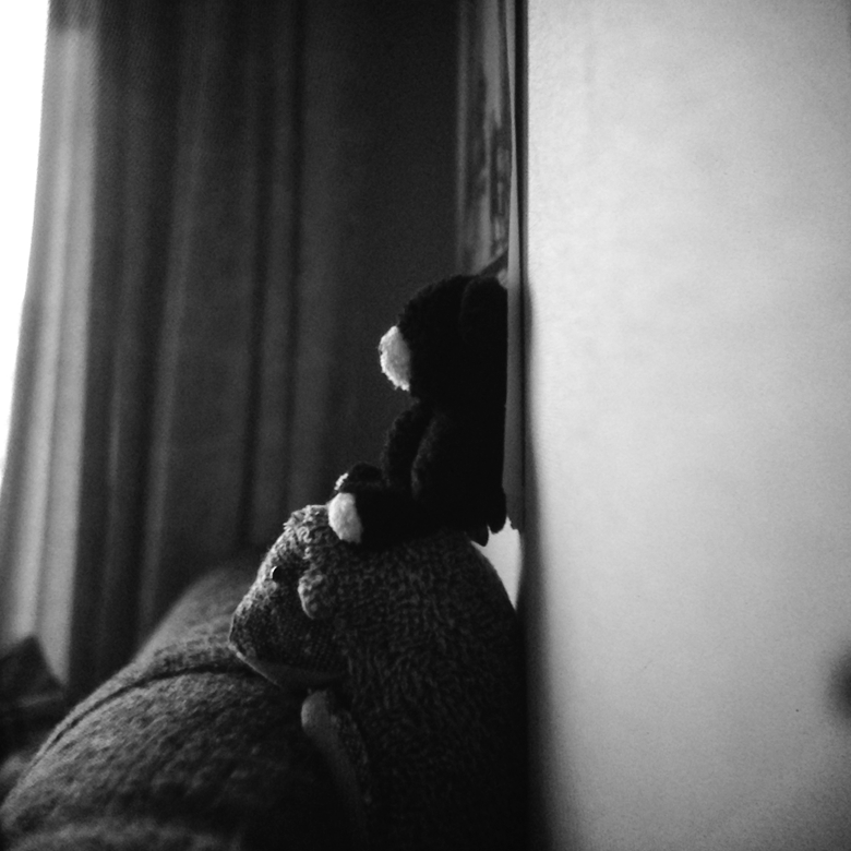 Maxwell screen HI-LUX BRILLIANT MATTE. 2.8F