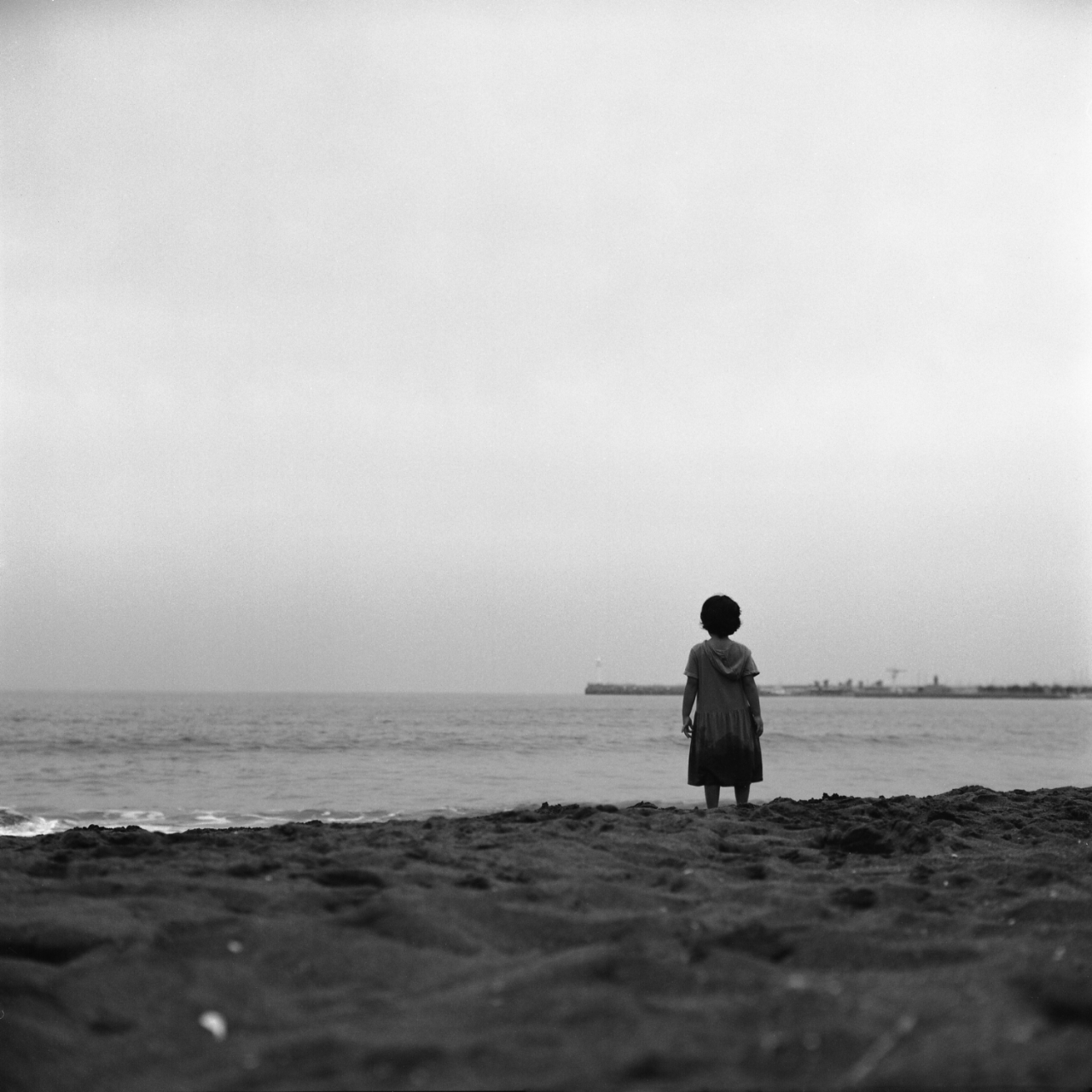 rolleiflex2.8f031panf50