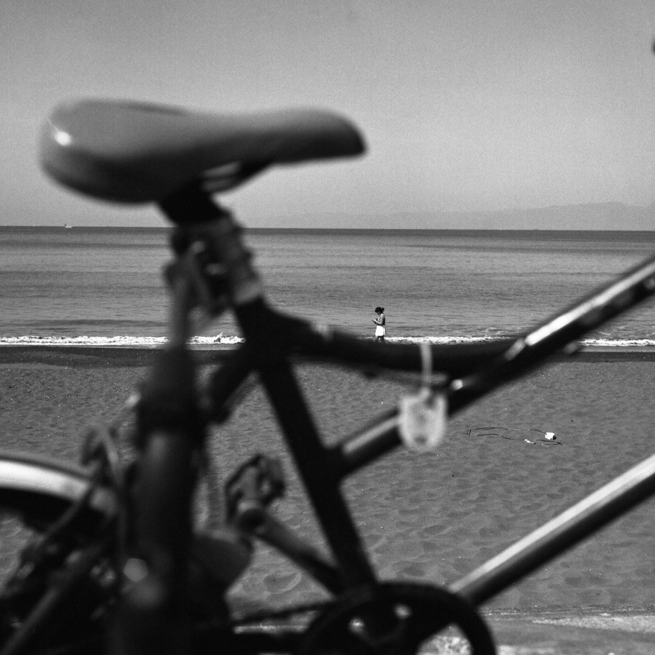 rolleiflex2.8f033panf50