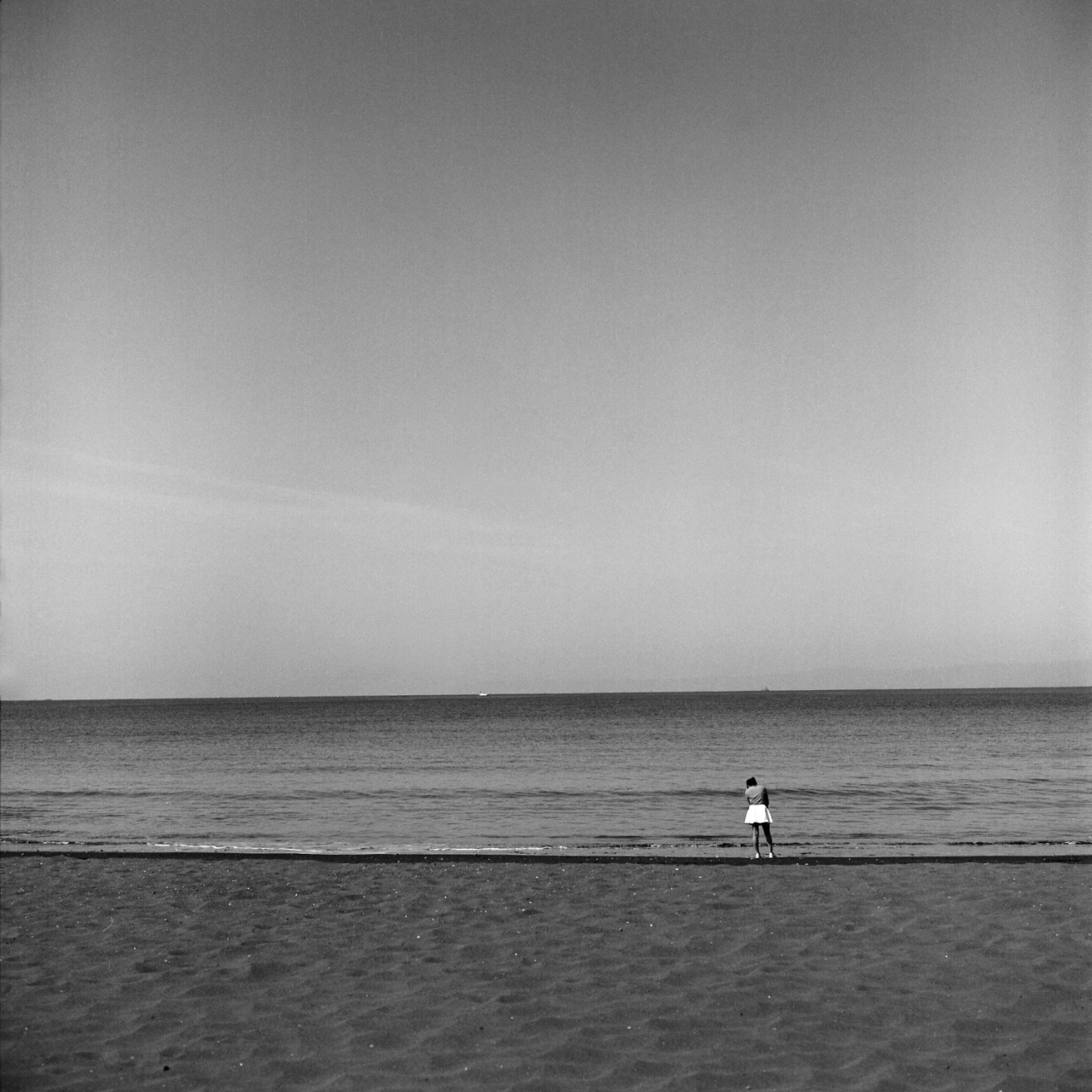 rolleiflex2.8f034panf50