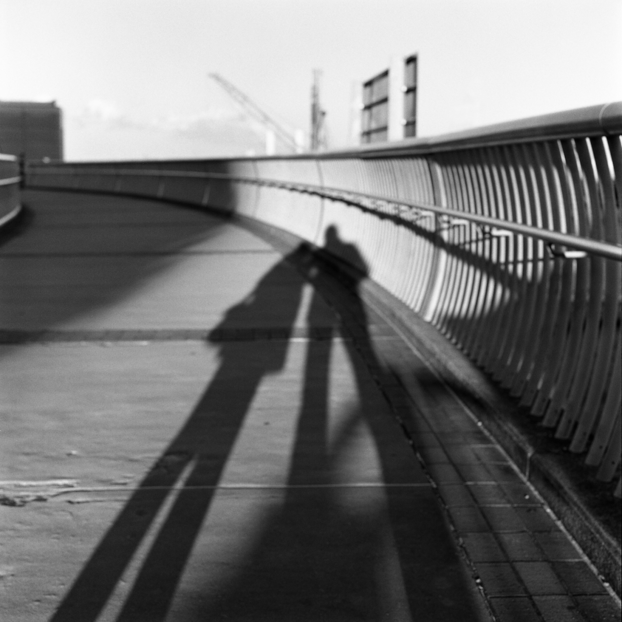 rolleiflex2.8c003hp5