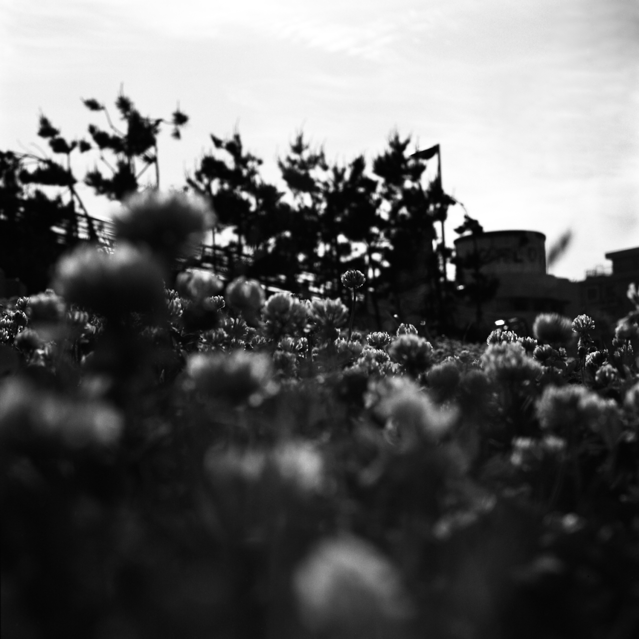 rolleiflex2.8c035fp4