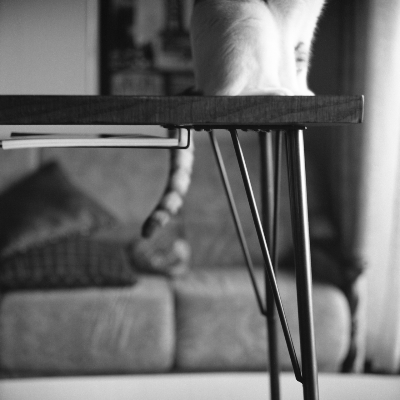 rolleiflex2.8f021fp4