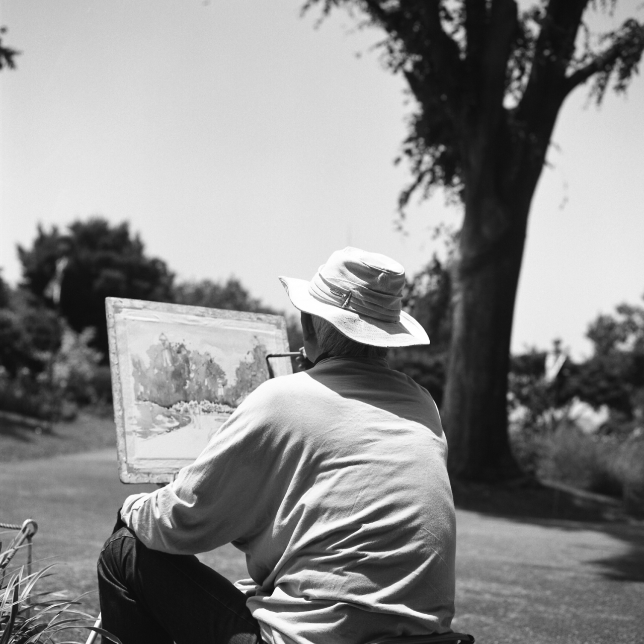 rolleiflex3.5c005panf50