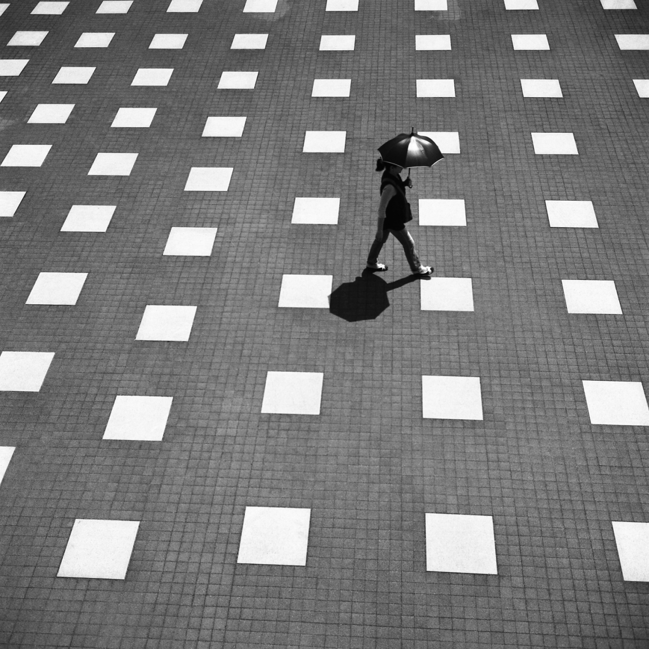 rolleiflex3.5c006panf50
