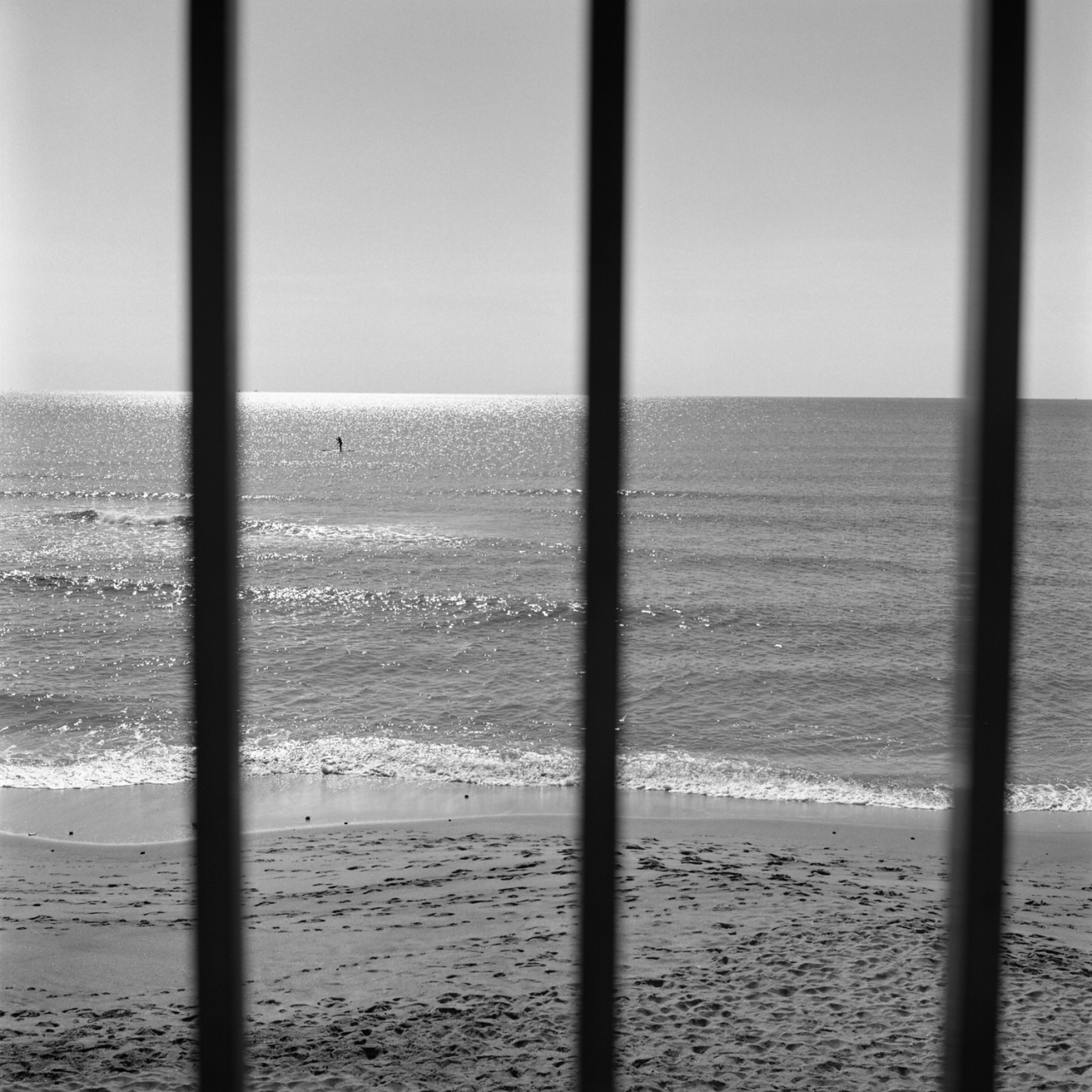 rolleiflex2.8c006fp4