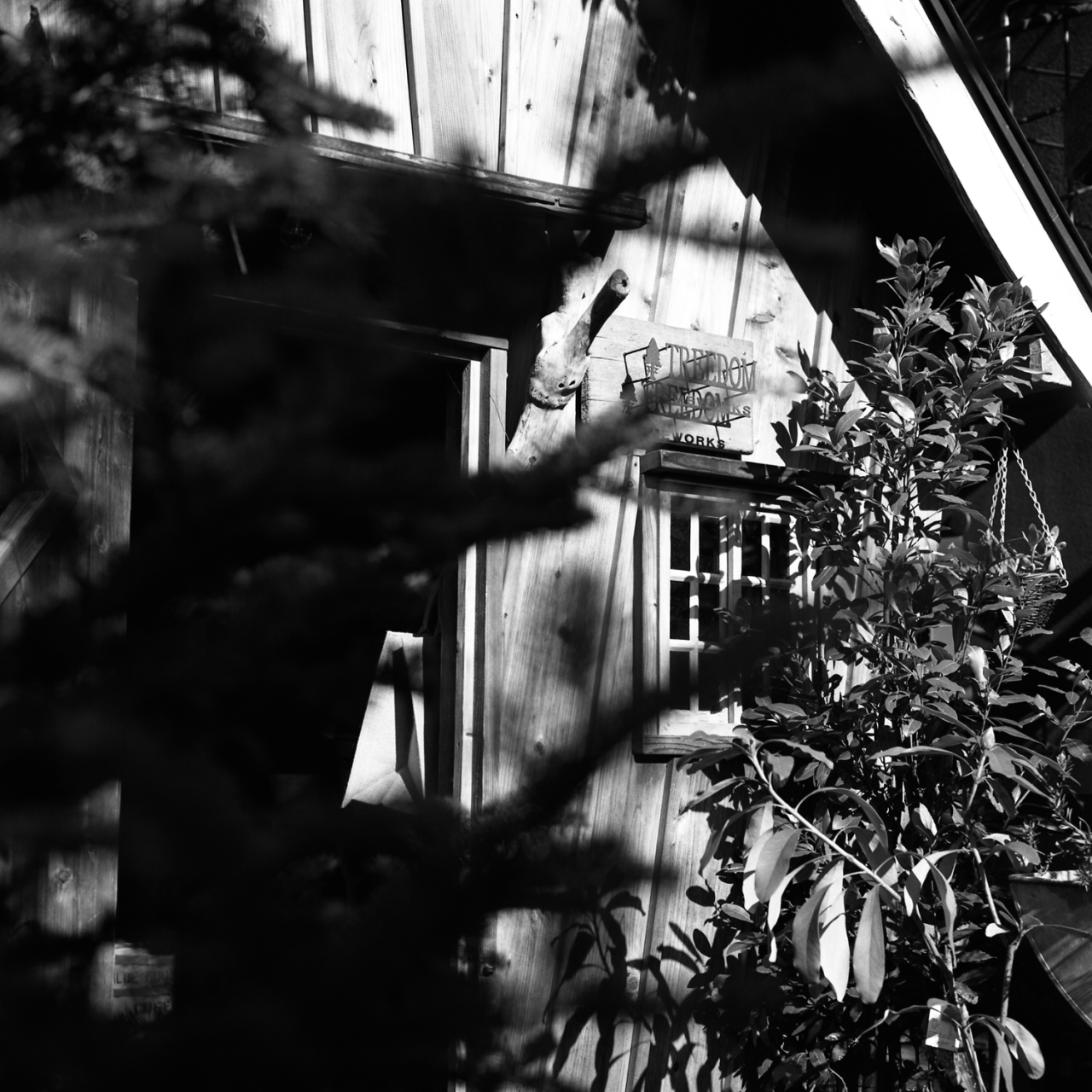 rolleiflex2.8c012fp4