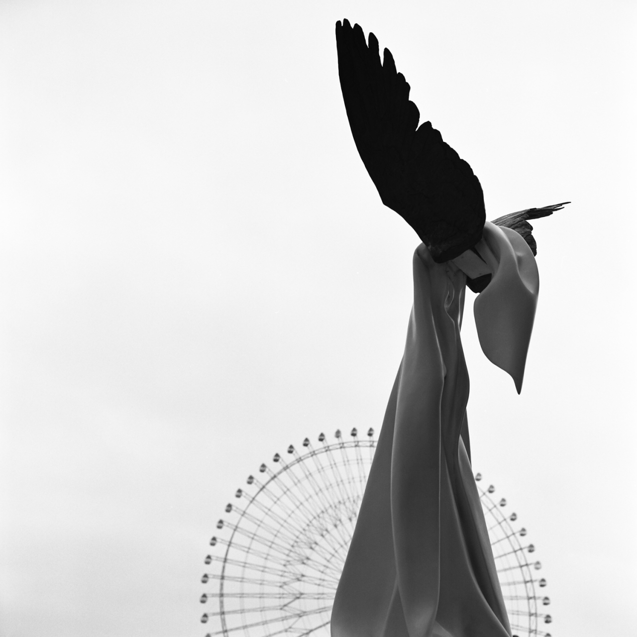 rolleiflex2.8c013fp4