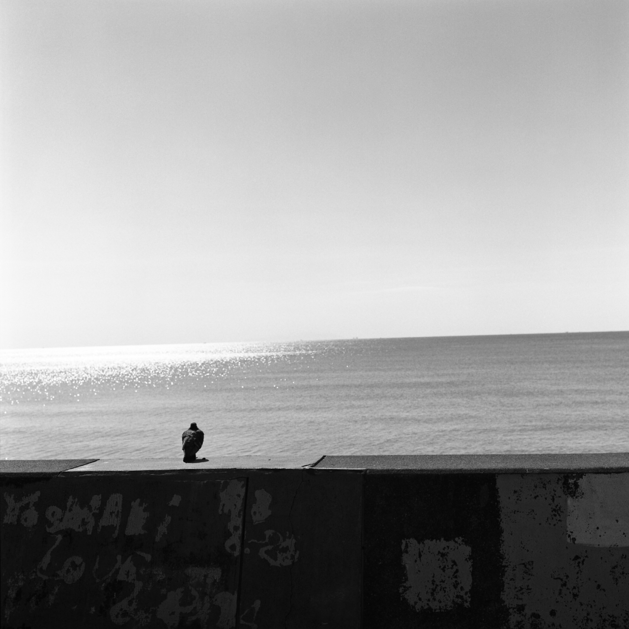 rolleiflex2.8c039fp4