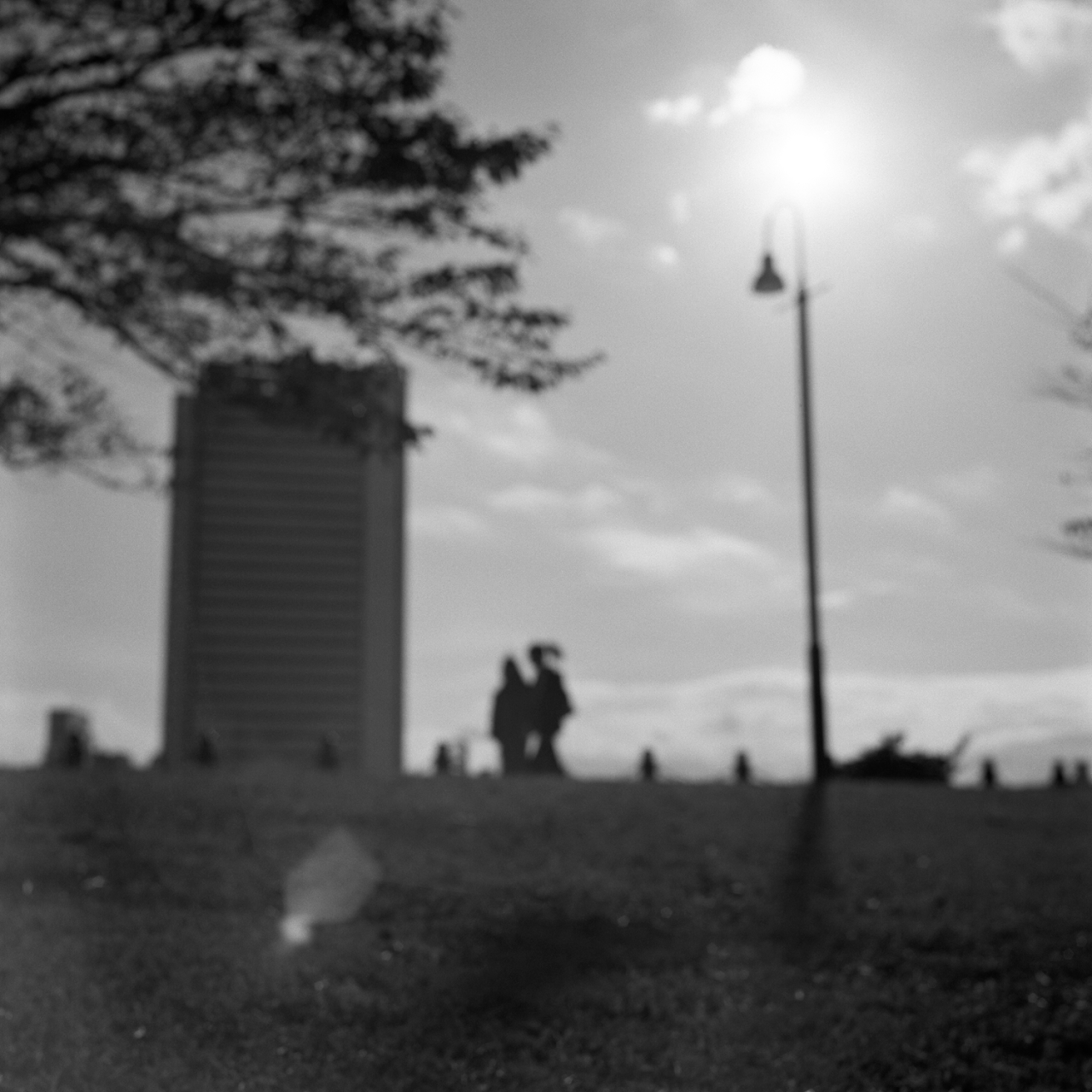 rolleiflex2.8f039panf50