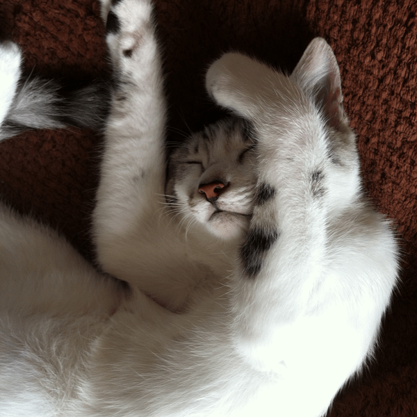 koharuphotographlinkphoto