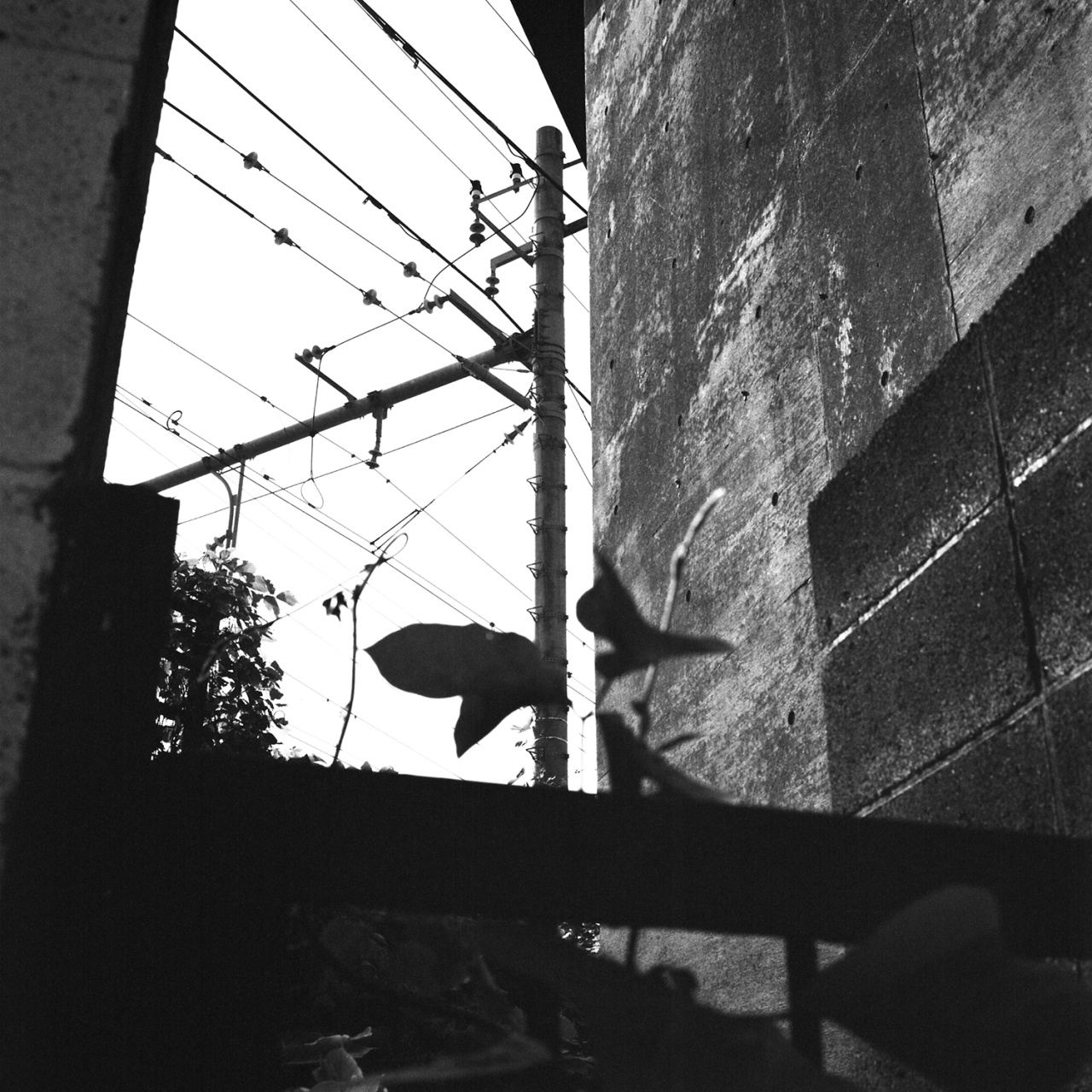 rolleiflex2.8c048fp4