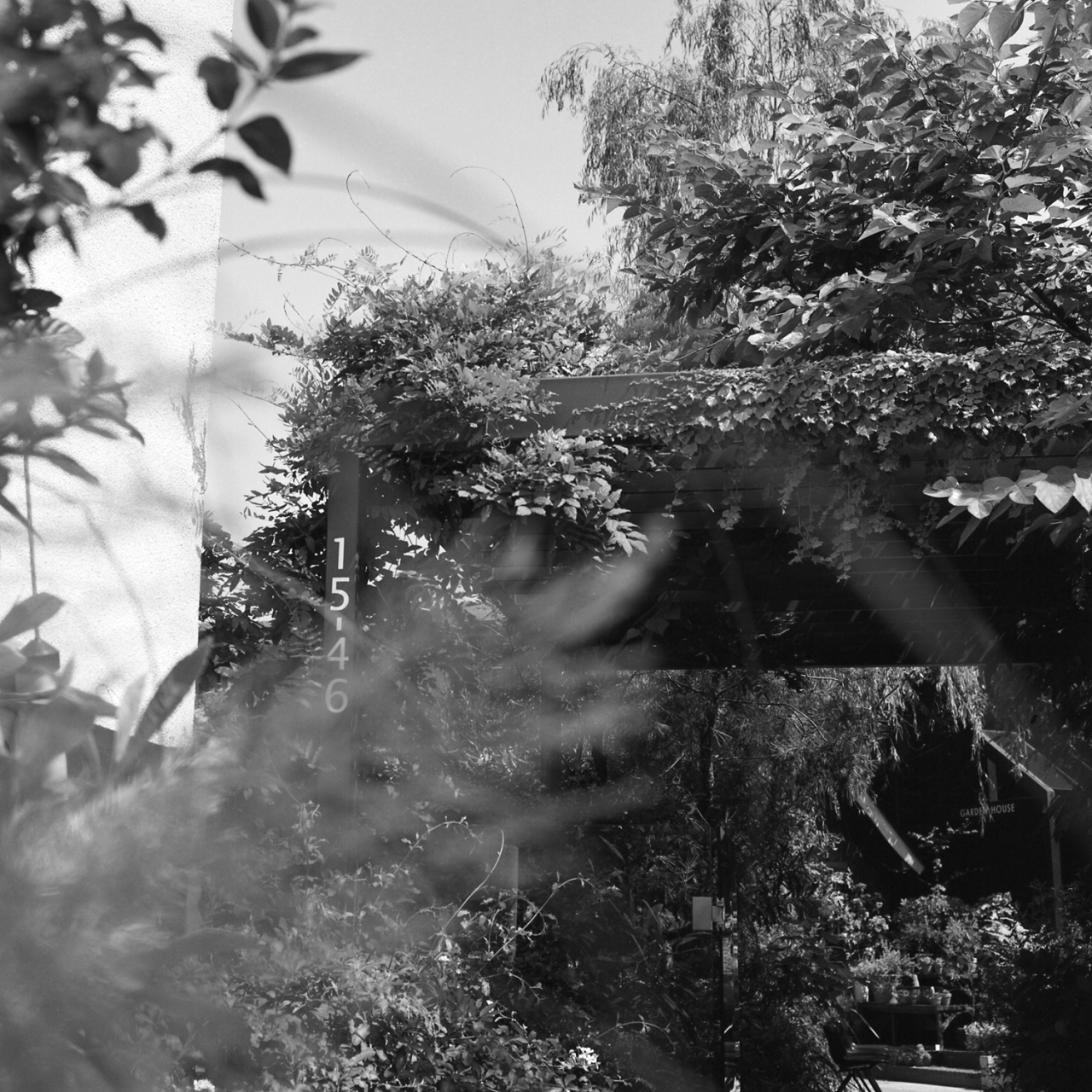 rolleiflex2.8c051fp4