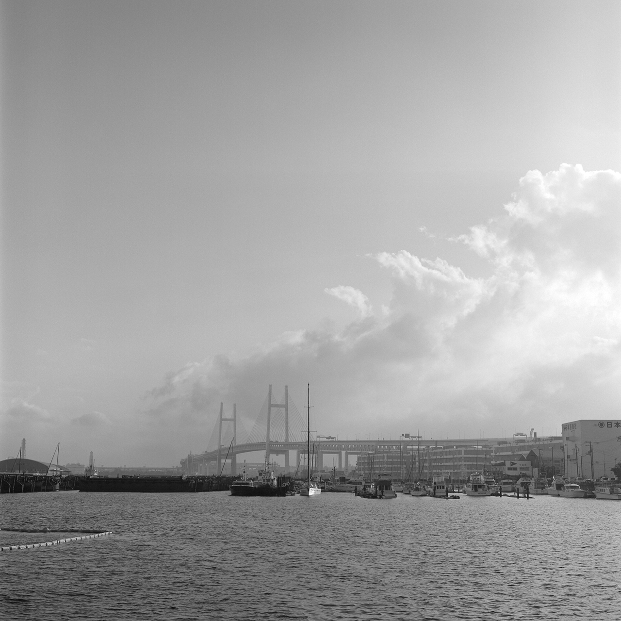 rolleiflex2.8c054fp4