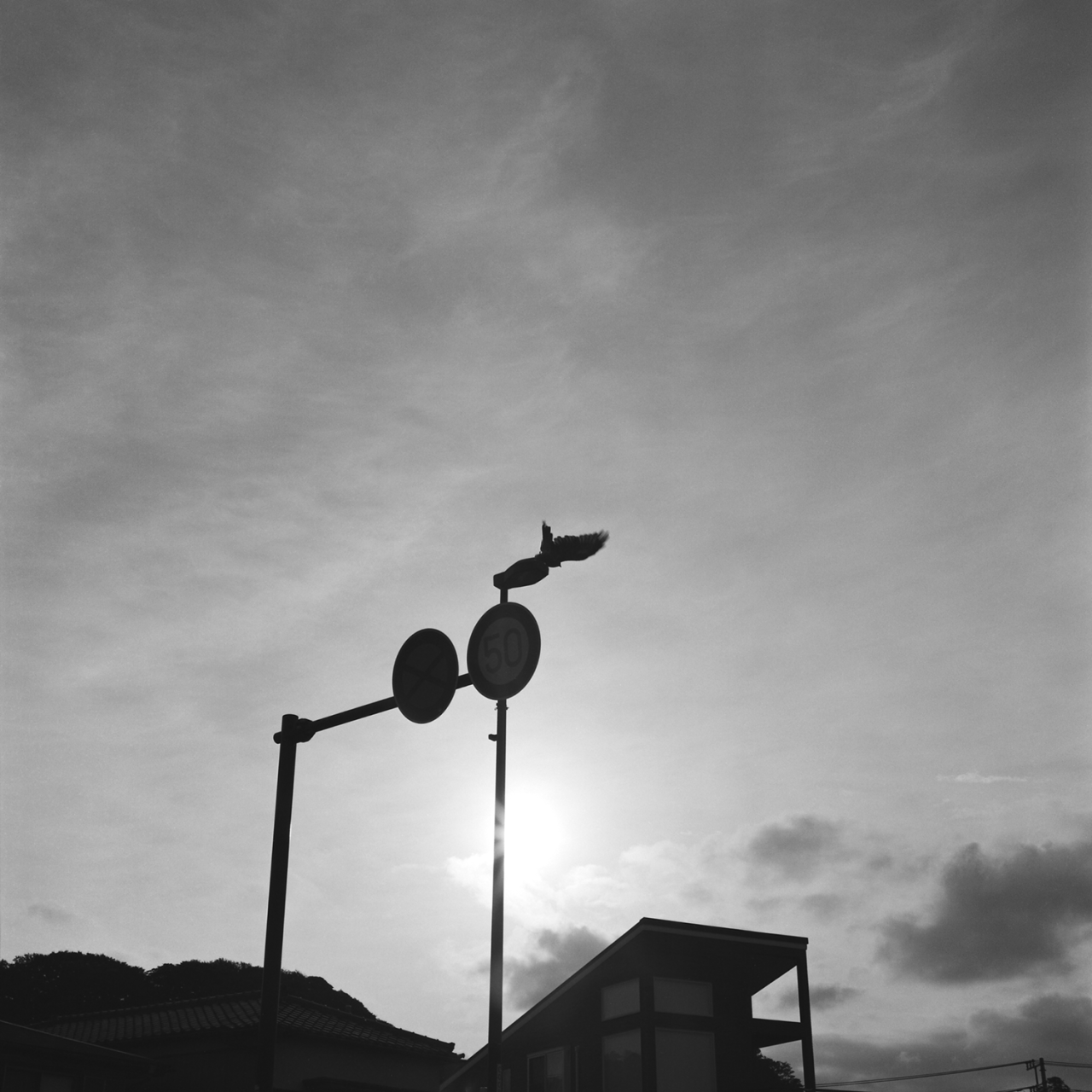 rolleiflex2.8c064fp4