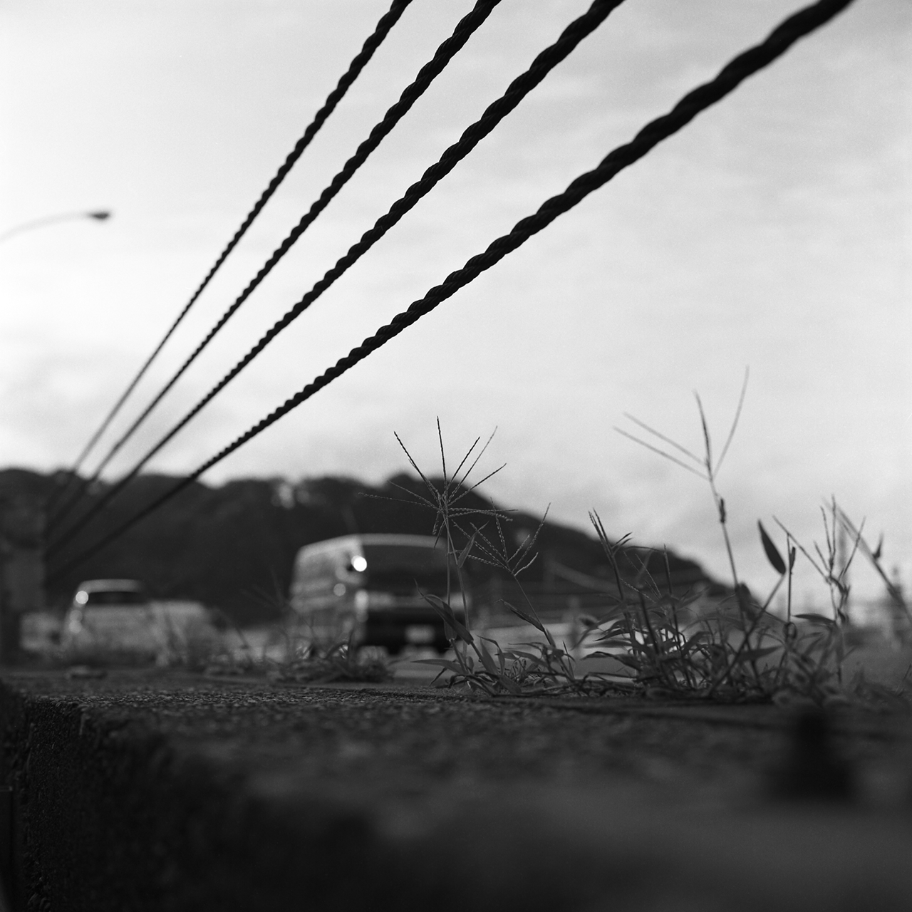 rolleiflex2.8c065fp4