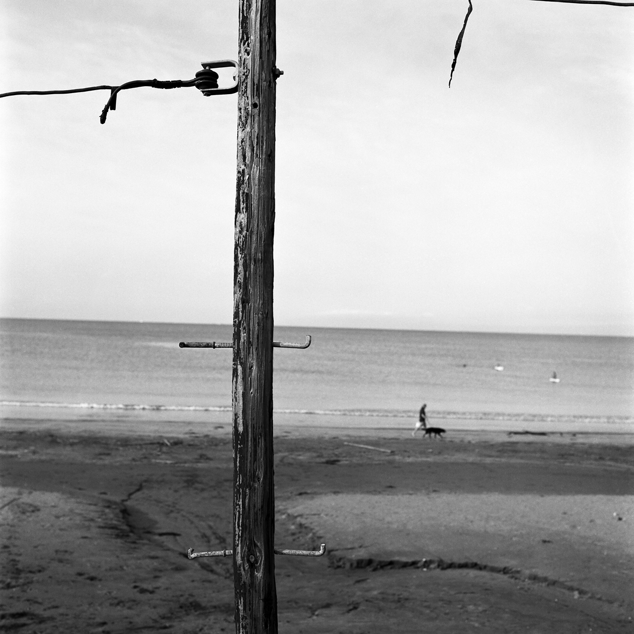 rolleiflex2.8c067fp4