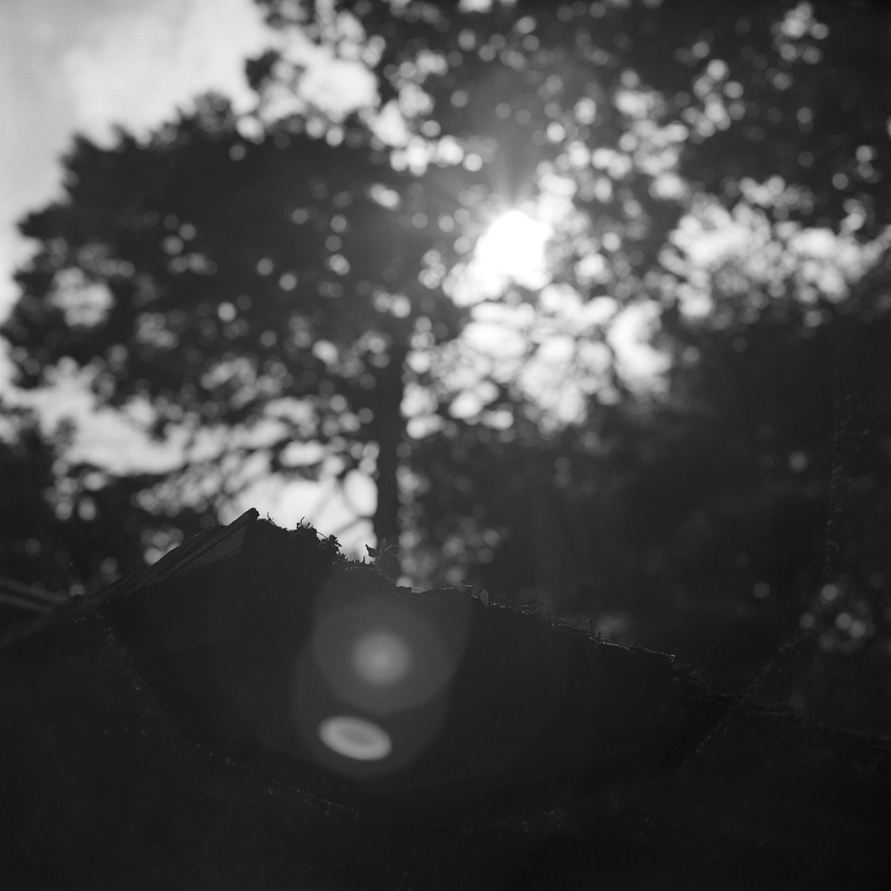 rolleiflex2.8c068fp4
