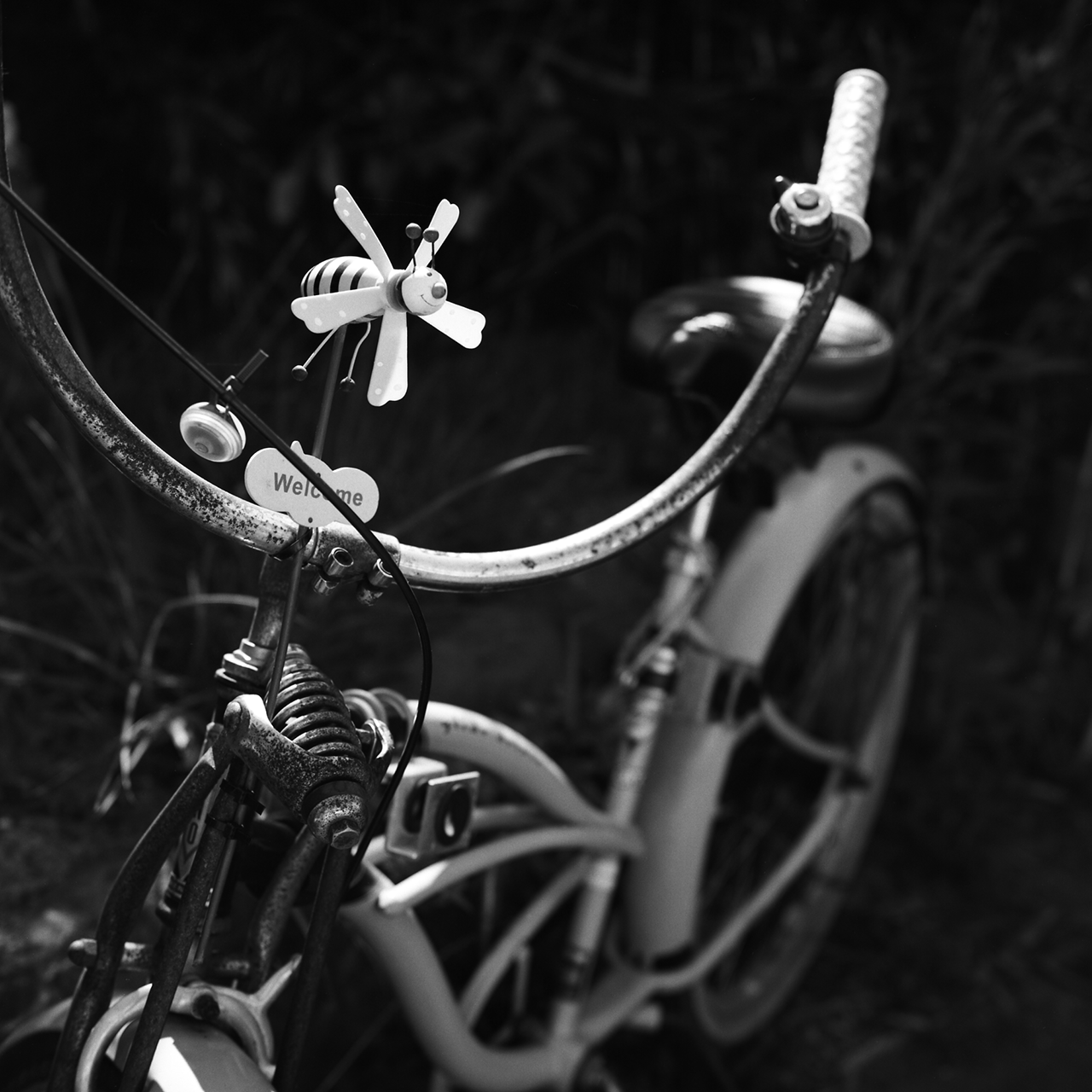 rolleiflex2.8f049tmax