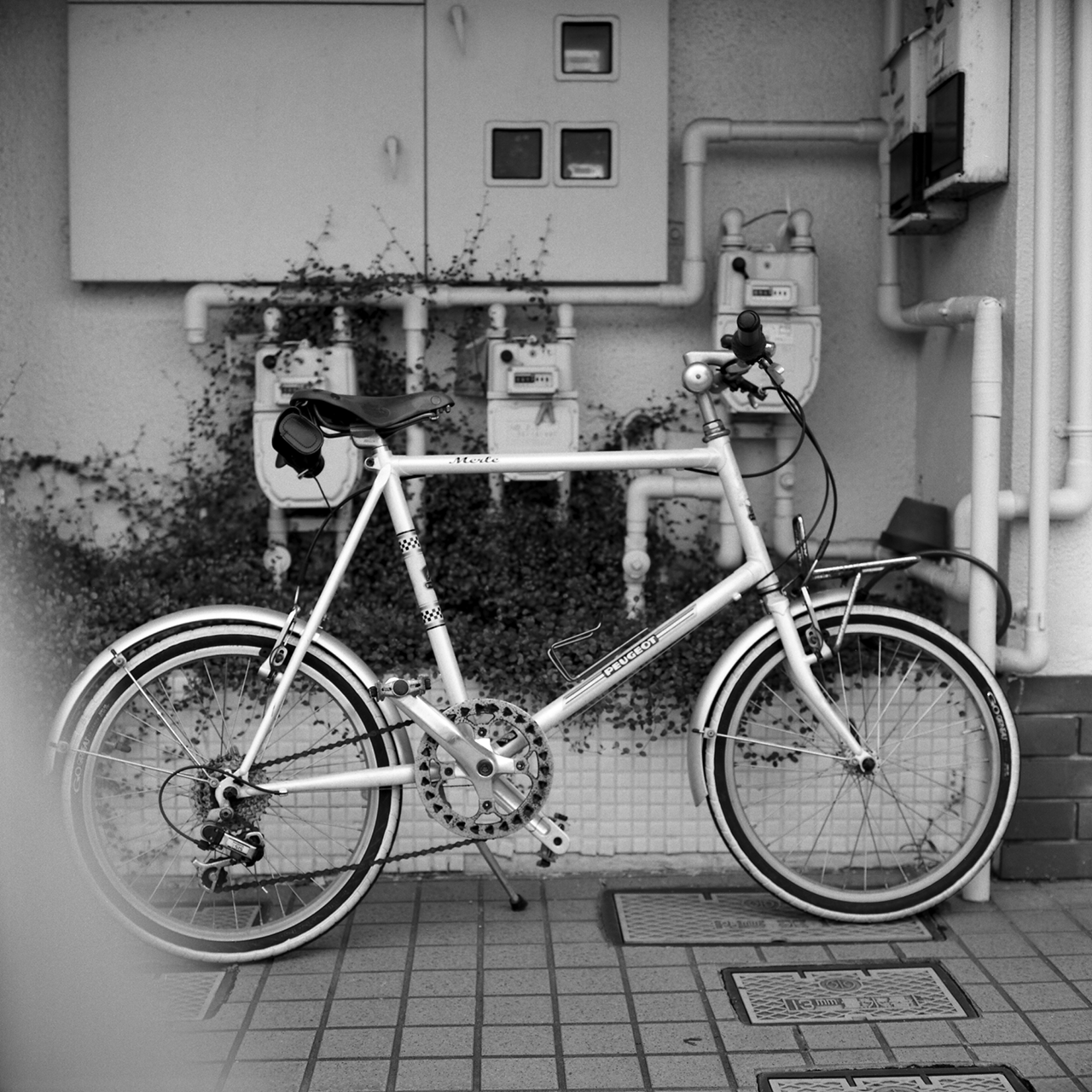 rolleiflex2.8f050tmax