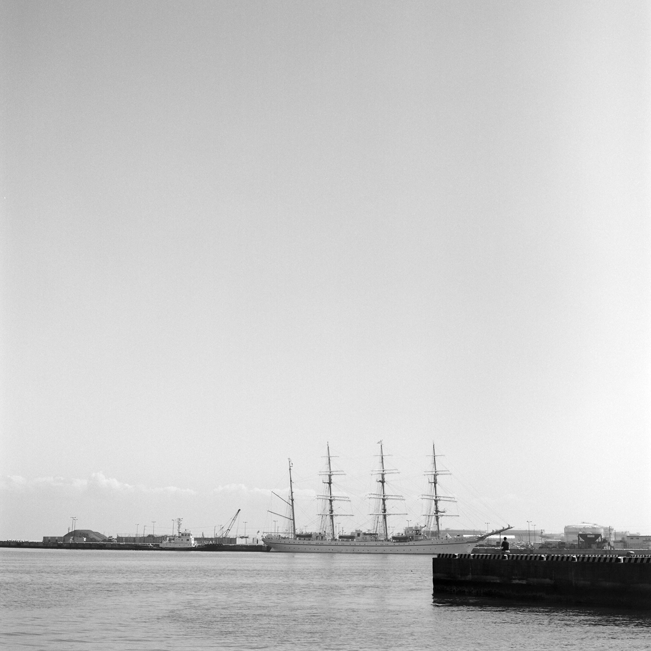 rolleiflex2.8c078tmax