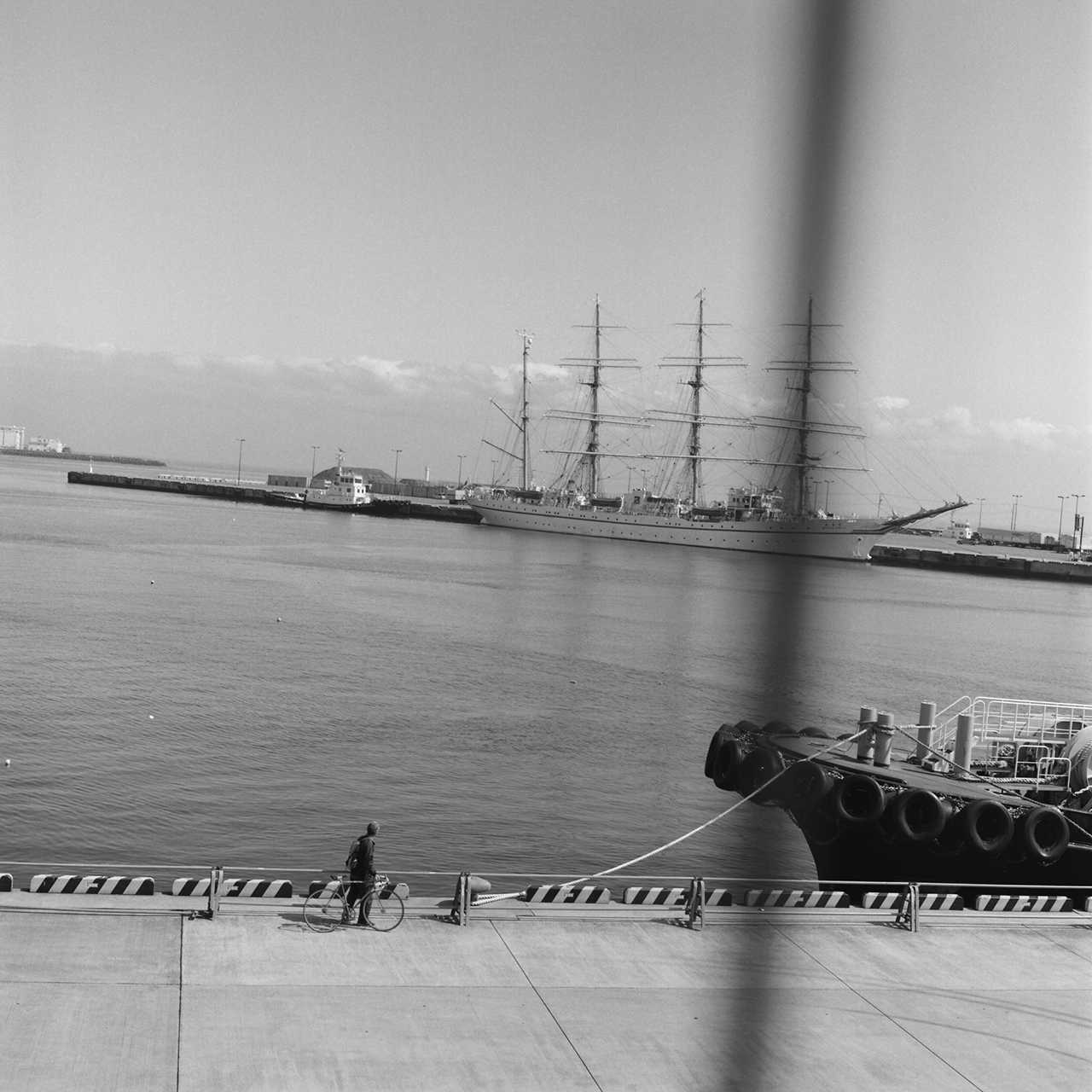 rolleiflex2.8c079tmax