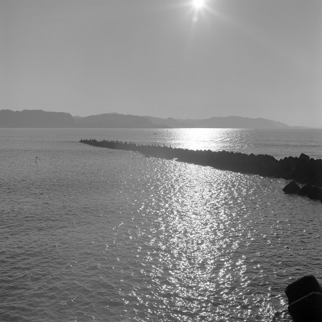 rolleiflex2.8c082tmax