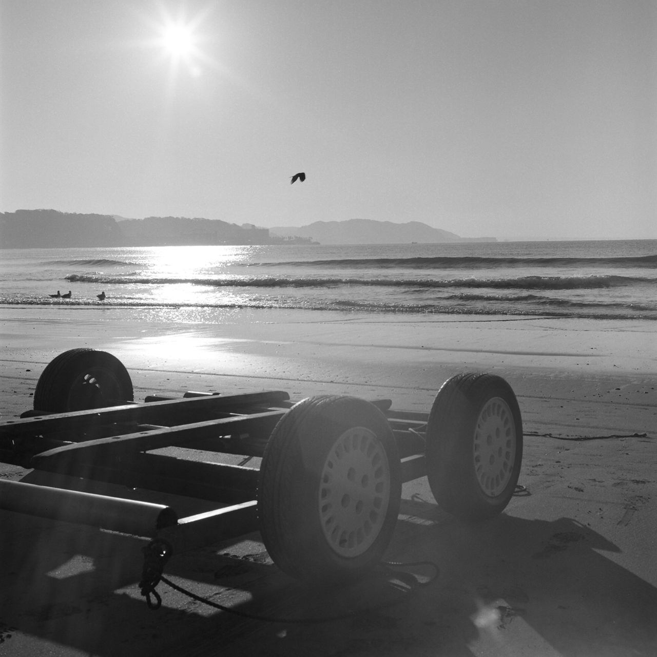 rolleiflex2.8f058tmax