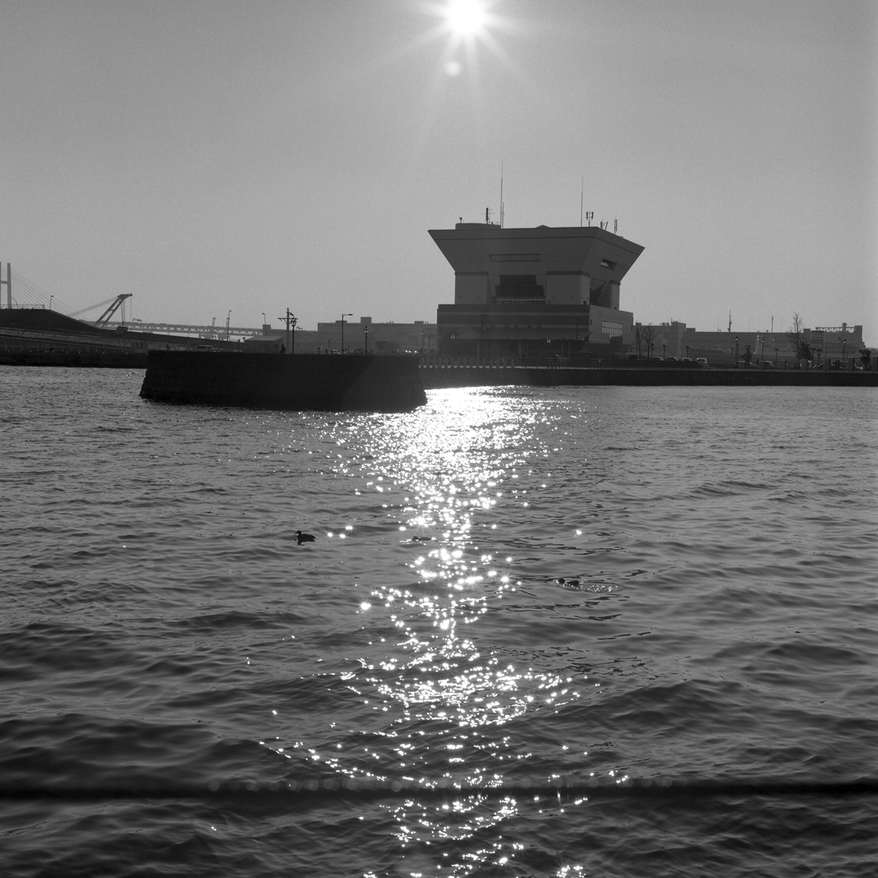 rolleiflex2.8c088tmax