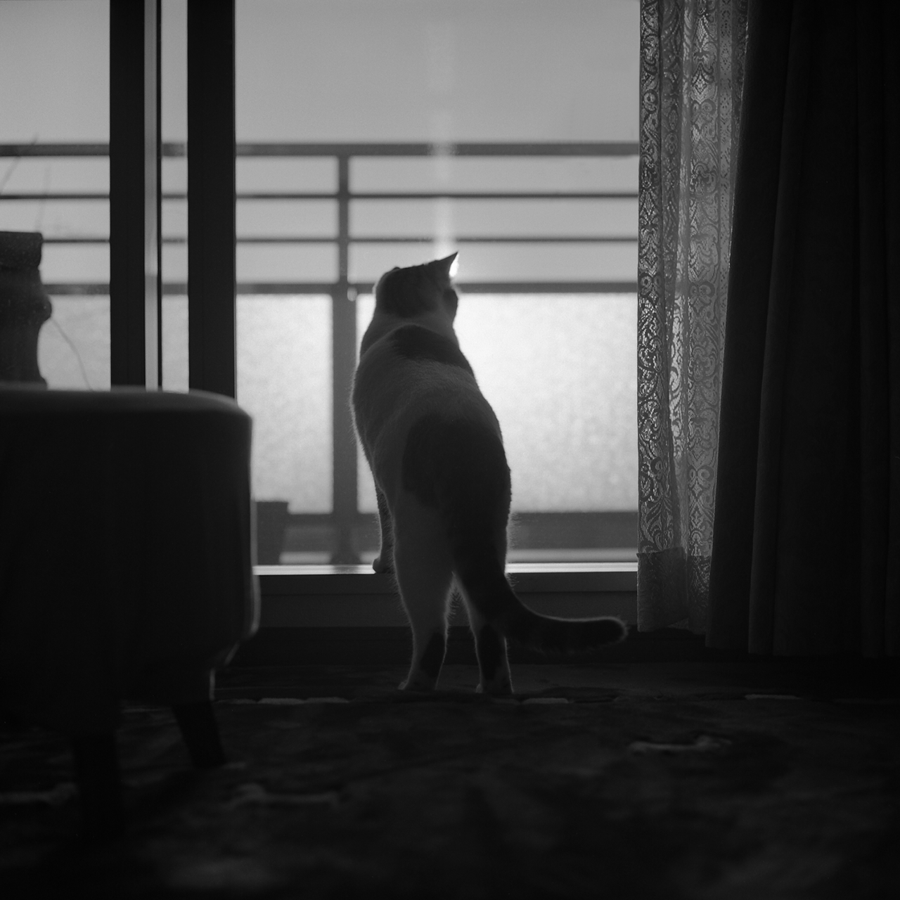 rolleiflex2.8c091fp4