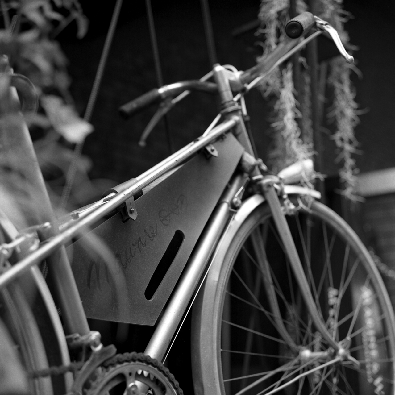 rolleiflex2-8f060tmax