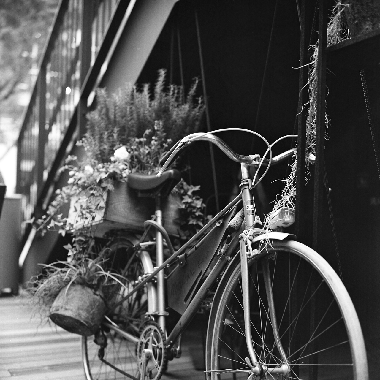 rolleiflex2-8f061tmax