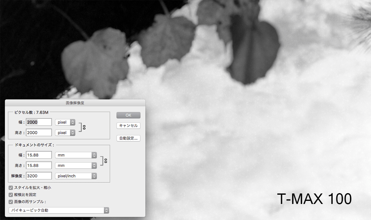 bubbledevelopingtesttmax