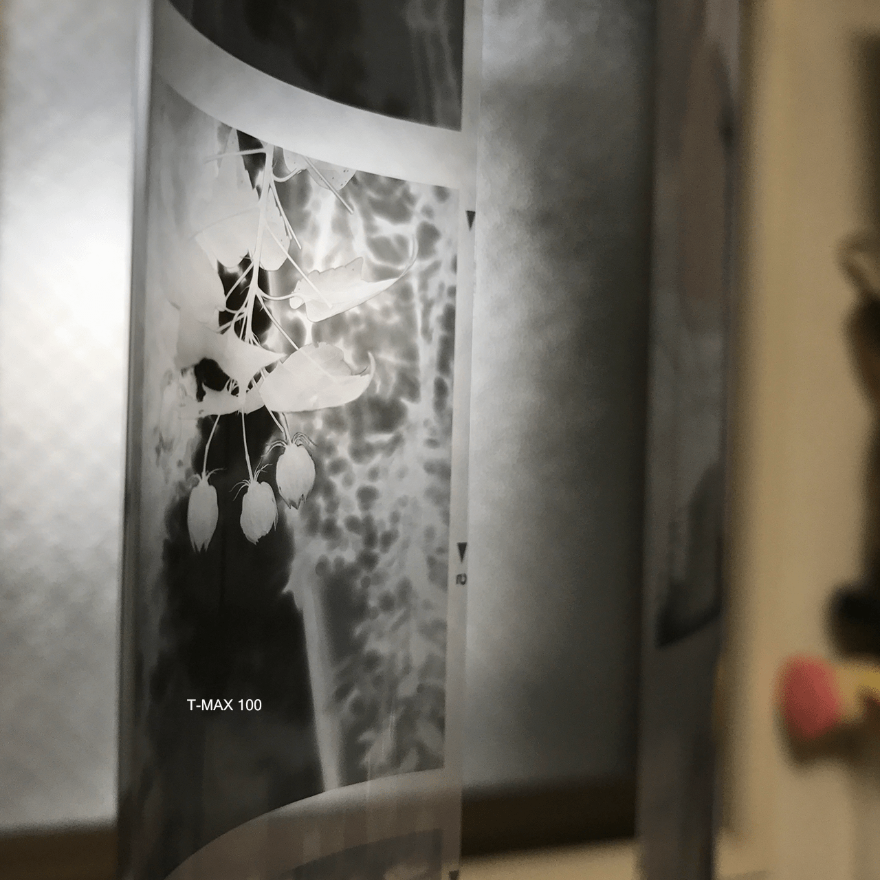 filmobservationtmax2