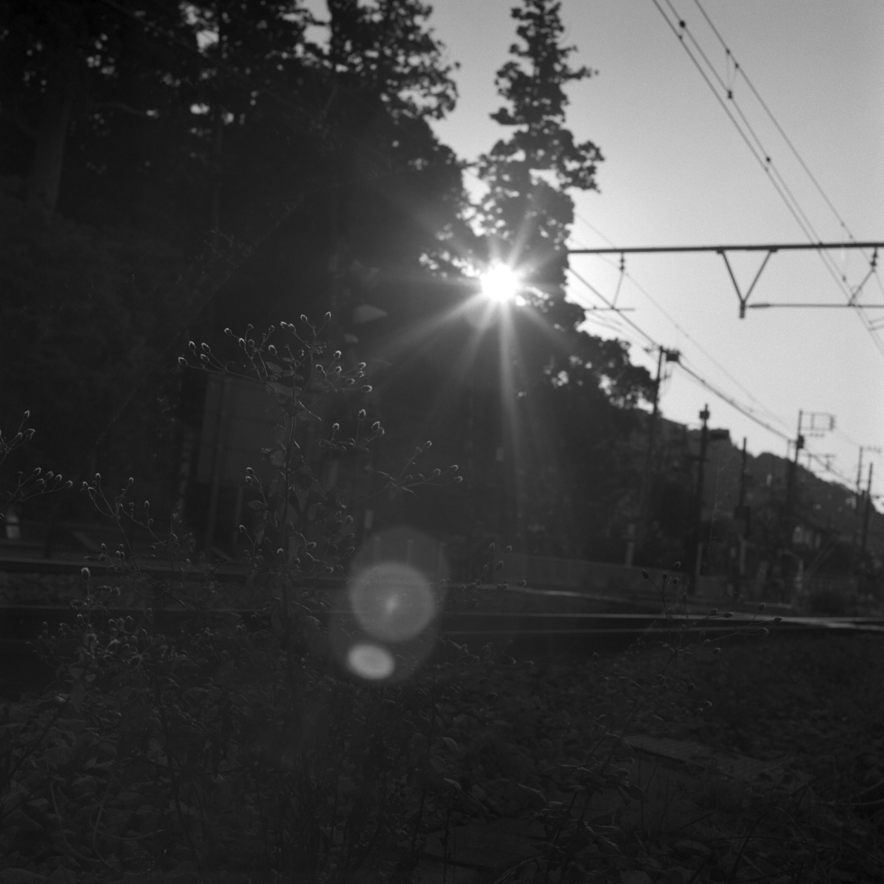 rolleiflex2-8c103fp4