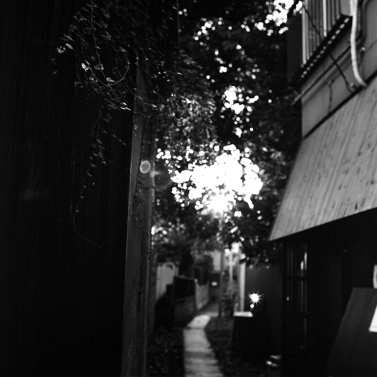 rolleiflex2-8c104fp4