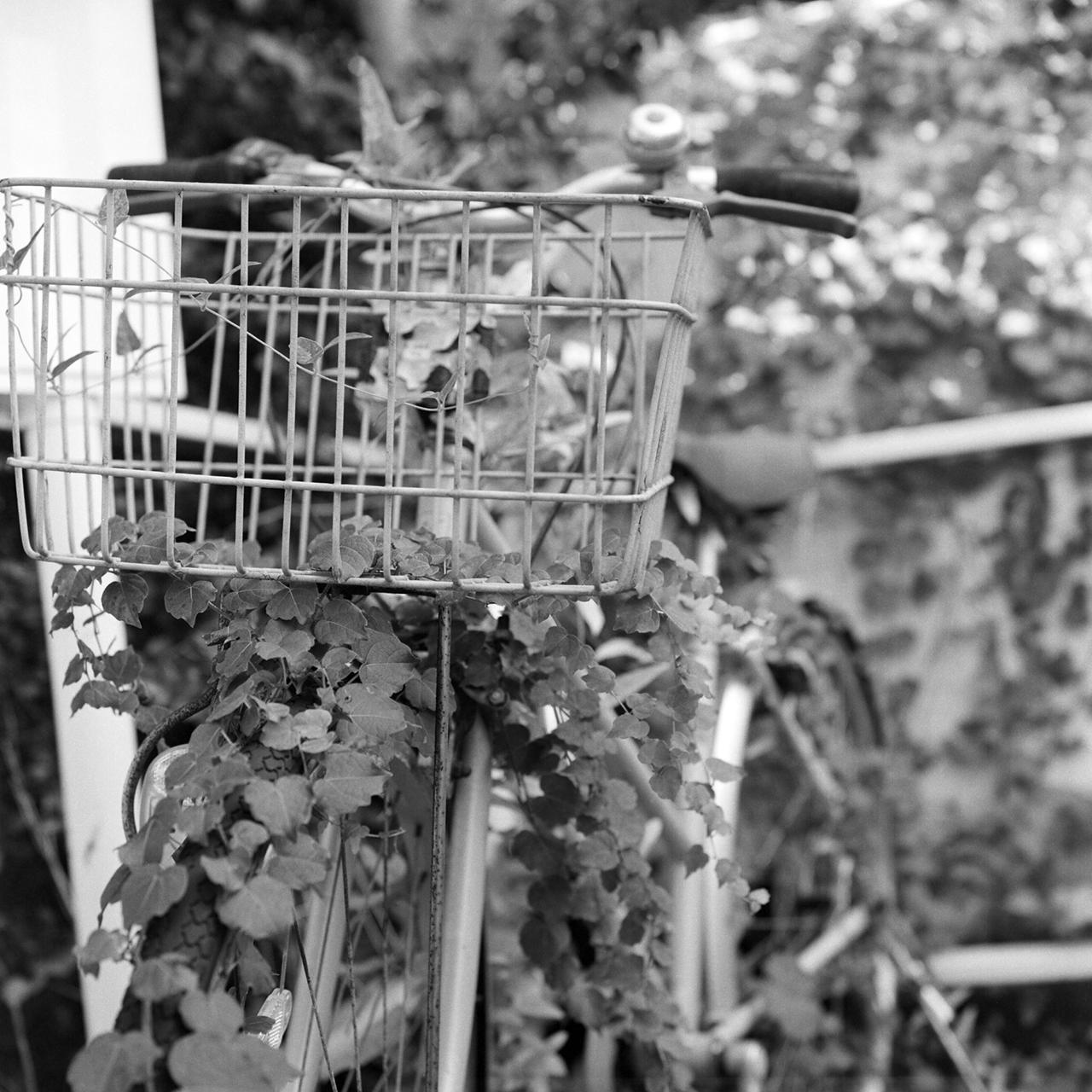 rolleiflex2.8c106tmaxrolleinar1