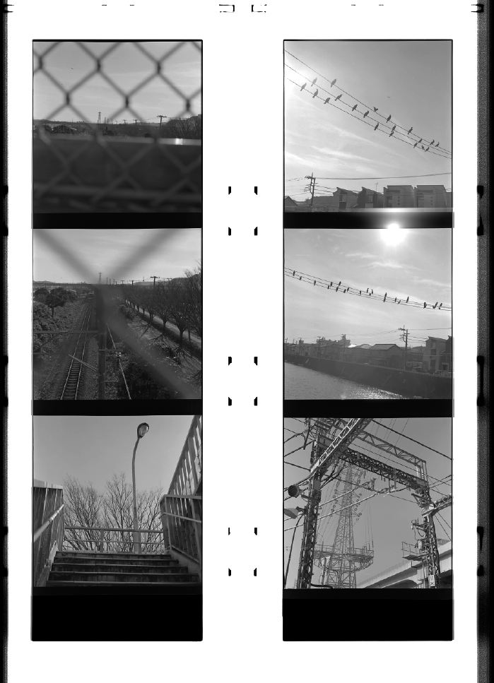 developerexpirationdate03