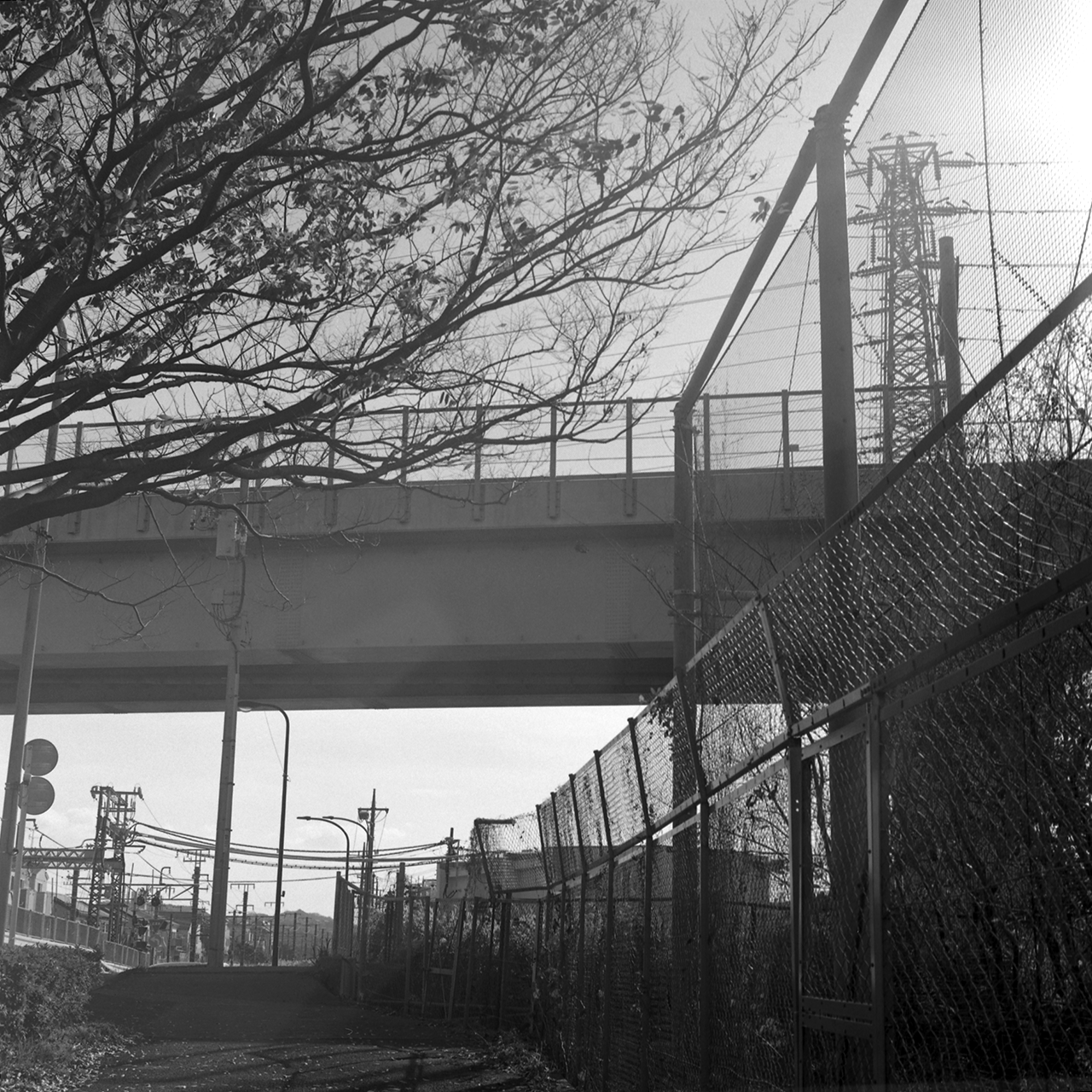 rolleiflex2.8c109fp4