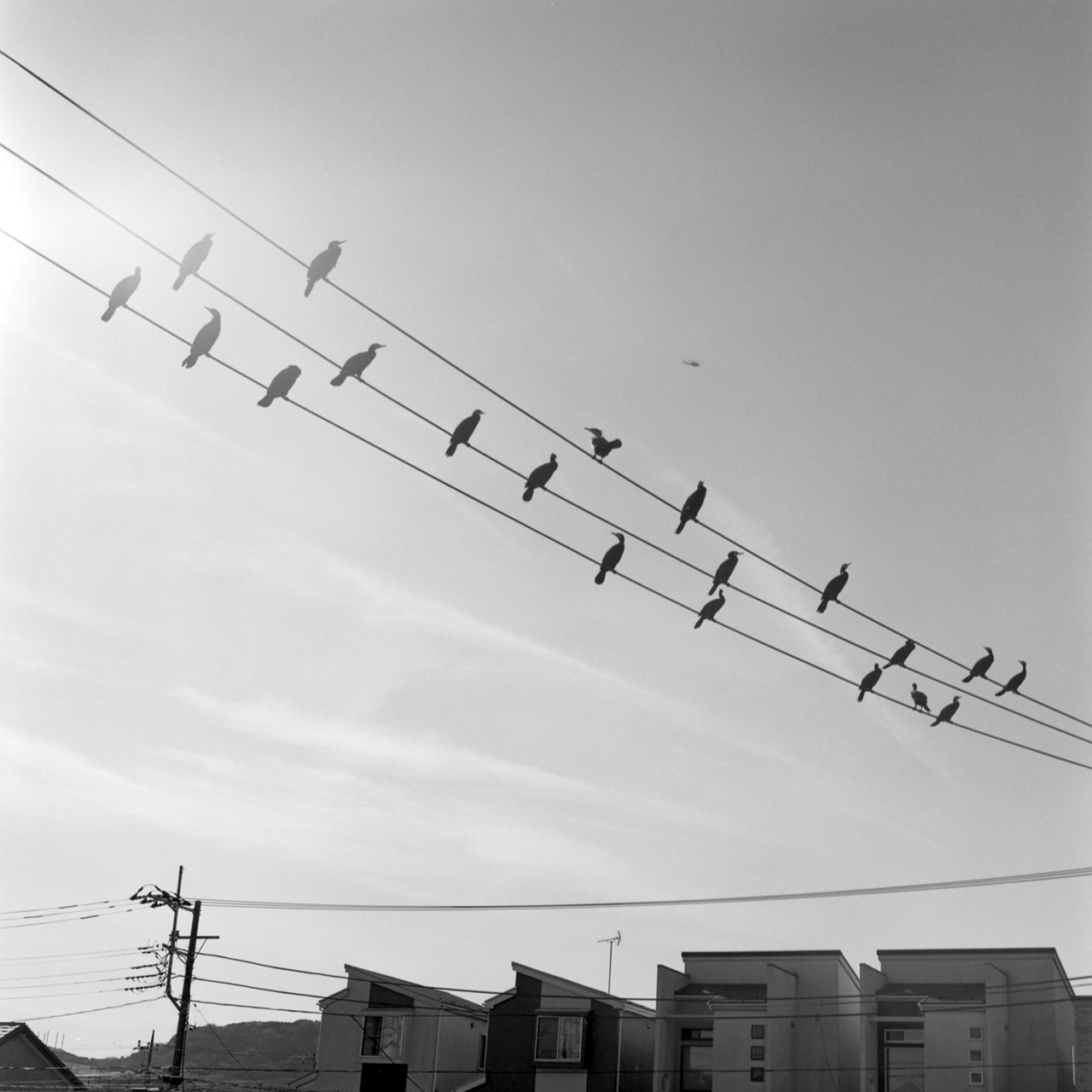 rolleiflex2.8c110fp4