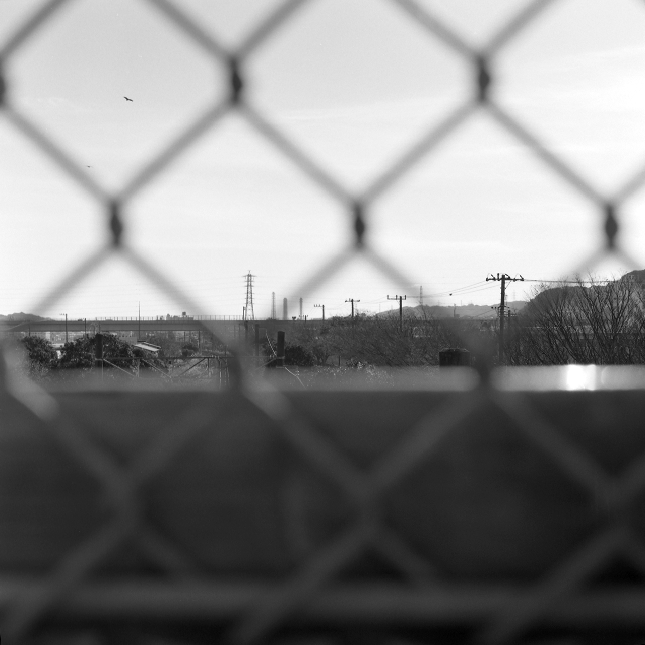 rolleiflex2.8c111fp4