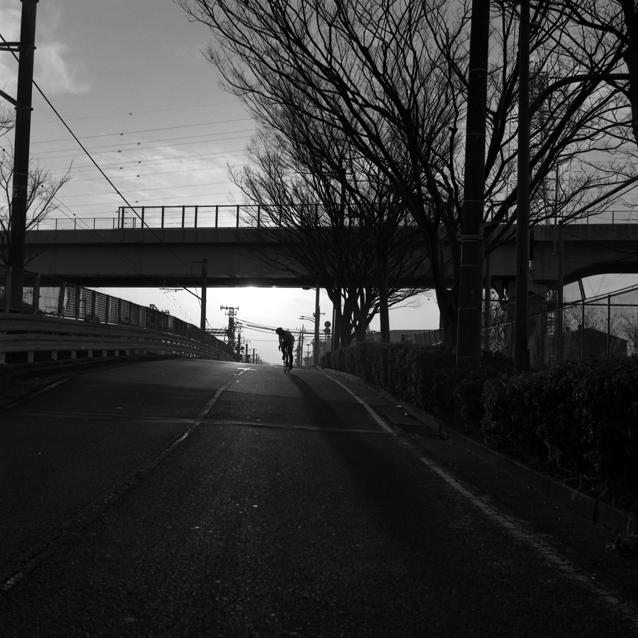 rolleiflex2.8c114fp4